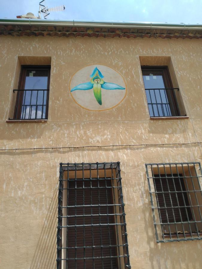 El Pretil Del Olmo